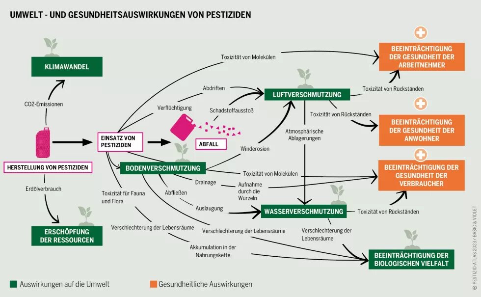 Umwelt- und Gesundheitsauswirkungen von Pestiziden Diagramm